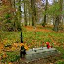 2012- 11. 01 Sępólno Krajeńskie widok starego cmentarza ewangelicko-augsburskiego - panoramio (9)
