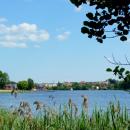 Jezioro Sępoleńskie widok z brzegu. - panoramio (2)