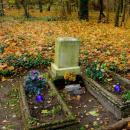 2012- 11. 01 Sępólno Krajeńskie widok starego cmentarza ewangelicko-augsburskiego - panoramio (12)
