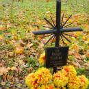 2012- 11. 01 Sępólno Krajeńskie widok starego cmentarza ewangelicko-augsburskiego - panoramio (6)