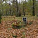 2012- 11. 01 Sępólno Krajeńskie widok starego cmentarza ewangelicko-augsburskiego - panoramio (1)