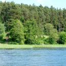Jezioro Sępoleńskie - widok przeciwległego brzegu. - panoramio