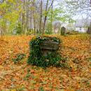 2012- 11. 01 Sępólno Krajeńskie widok starego cmentarza ewangelicko-augsburskiego - panoramio (10)