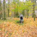 2012- 11. 01 Sępólno Krajeńskie widok starego cmentarza ewangelicko-augsburskiego - panoramio