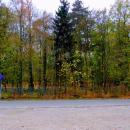 2012- 11. 01 Sępólno Krajeńskie widok starego cmentarza ewangelicko-augsburskiego - panoramio (17)