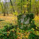 2012- 11. 01 Sępólno Krajeńskie widok starego cmentarza ewangelicko-augsburskiego - panoramio (14)