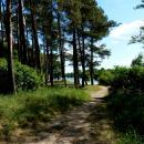 Jezioro Sępoleńskie ścieżka przy brzegu - panoramio