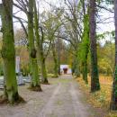2012- 11. 01 Sępólno Krajeńskie widok starego cmentarza ewangelickiego - panoramio (1)