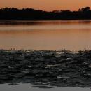 Jezioro Sępoleńskie o zachodzie słońca, od strony Sępólna Krajeńskiego.