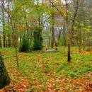 2012- 11. 01 Sępólno Krajeńskie widok starego cmentarza ewangelicko-augsburskiego - panoramio (4)