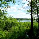 Jezioro Sępoleńskie widok z ścieżki przy brzegu. - panoramio