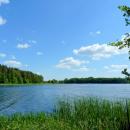 Jezioro Sępoleńskie widok z ścieżki przy brzegu. - panoramio (1)