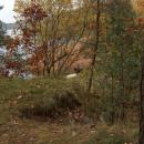Sępólno Krajeńskie - jesienny widok - panoramio