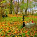 2012- 11. 01 Sępólno Krajeńskie widok starego cmentarza ewangelicko-augsburskiego - panoramio (11)